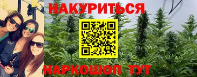 мдпв Дубна
