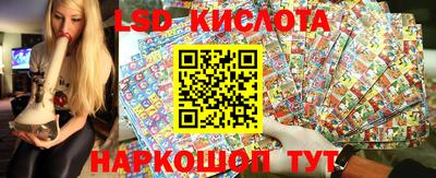 стафф Донецк