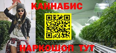 стафф Донецк