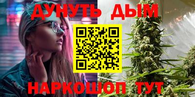 стафф Донецк